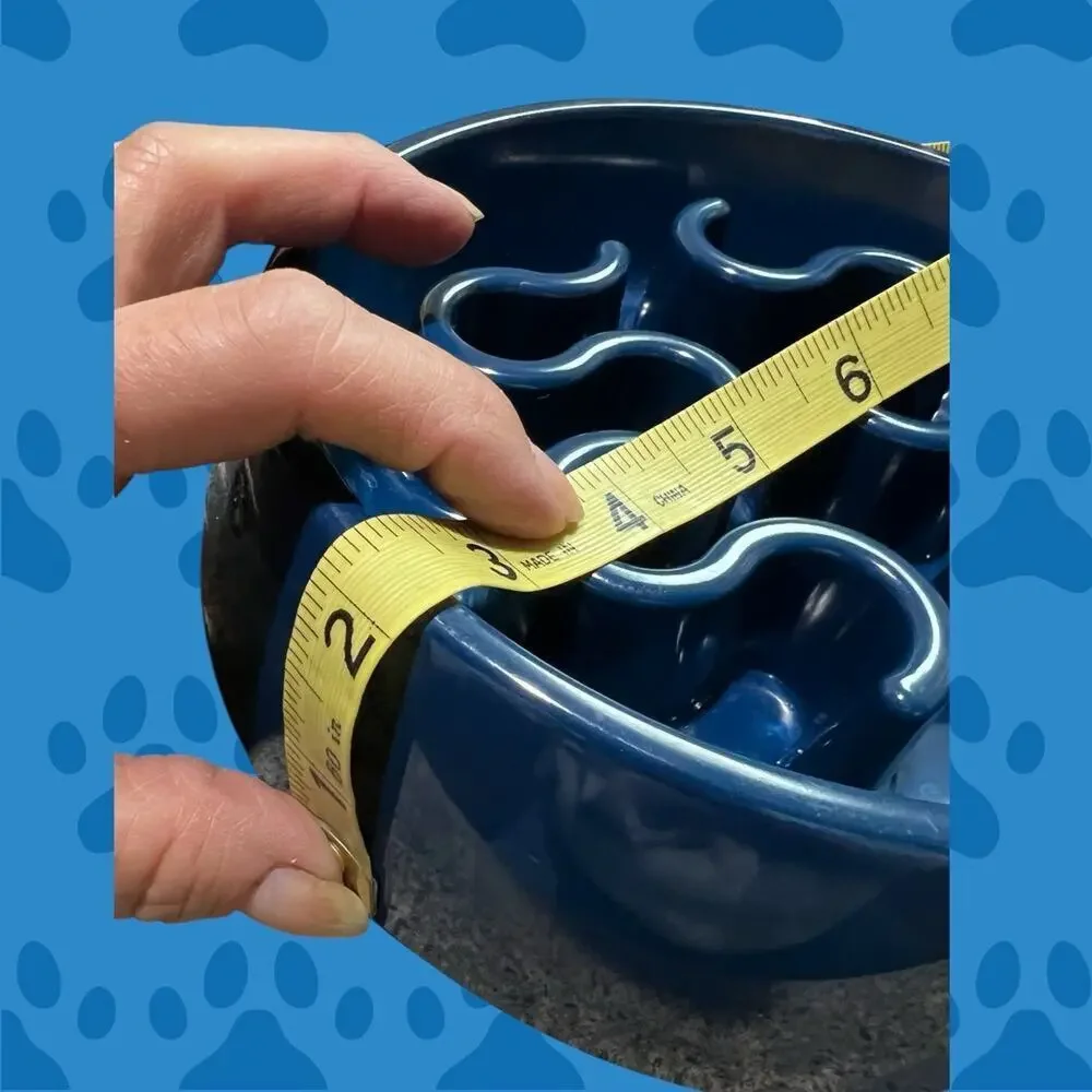 Petco Dog Food Bowl-for the pup that eats too quickly!